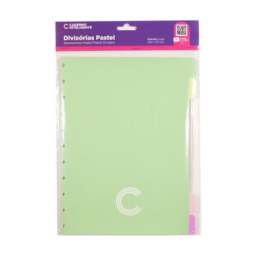 Divisória Para Caderno Inteligente Pastel Grande UNICA