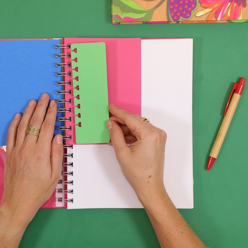 Caderno Colegial Flexível
LISTRAS P/B GG