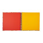 ALBUM_DE_FOTOS_GARRA_G_MIOLO_ARCO_IRIS_SAFARI_UNICO_AL989_PAPEL_CRAFT_3