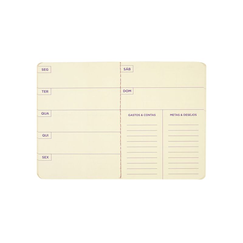AGENDA_PLANNER_COM_ELASTICO_2025_LISTRAS_COLORIDAS_AG1789_PAPEL_CRAFT_11