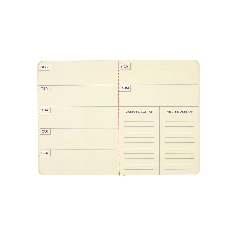 AGENDA_PLANNER_COM_ELASTICO_2025_LISTRAS_COLORIDAS_AG1789_PAPEL_CRAFT_13