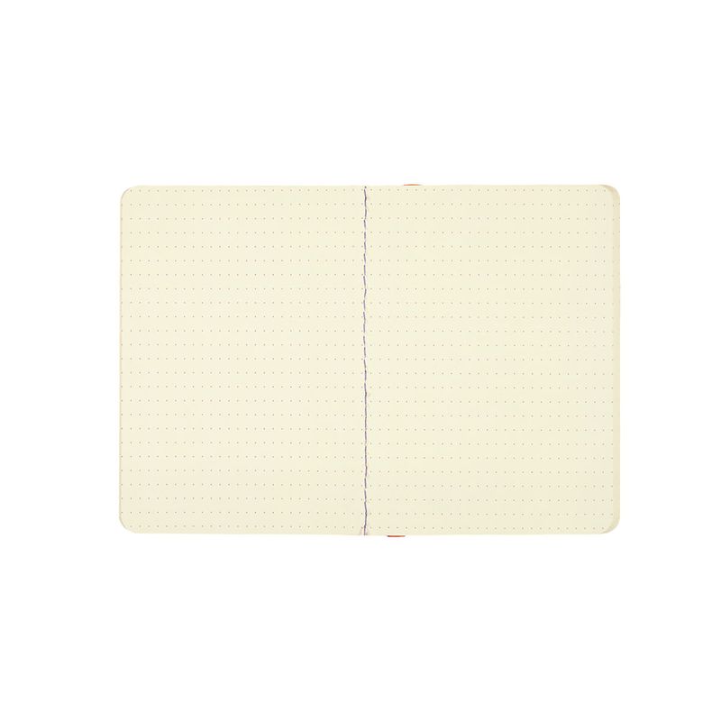 AGENDA_PLANNER_COM_ELASTICO_2025_LISTRAS_COLORIDAS_AG1789_PAPEL_CRAFT_17