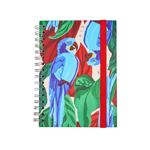 Caderno A5 90 Folhas Carnaval Rio
ARARA AZUL