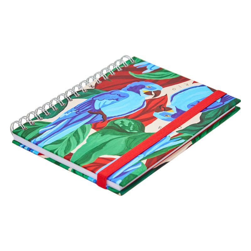 CADERNO_A5_90_FOLHAS_CARNAVAL_RIO_ARARA_AZUL_CA3344_PAPEL_CRAFT_3.jpg