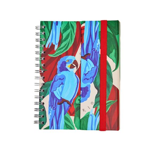 Caderno A5 com Aba 90 Folhas Carnaval Rio
ARARA AZUL