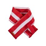 BLOCO_10_X_10_COM_MINI_TOTE_CARNAVAL_ARARA_AZUL_BL2216_PAPEL_CRAFT_8.jpg