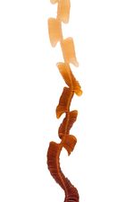 COLAR_MOVIMENTO_AMBAR_TERRA_ROU2063_PAPEL_CRAFT_3.jpg