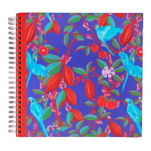 Álbum de Fotos Garra 32x32 Brasilidade 2026
CEU DE CACAU