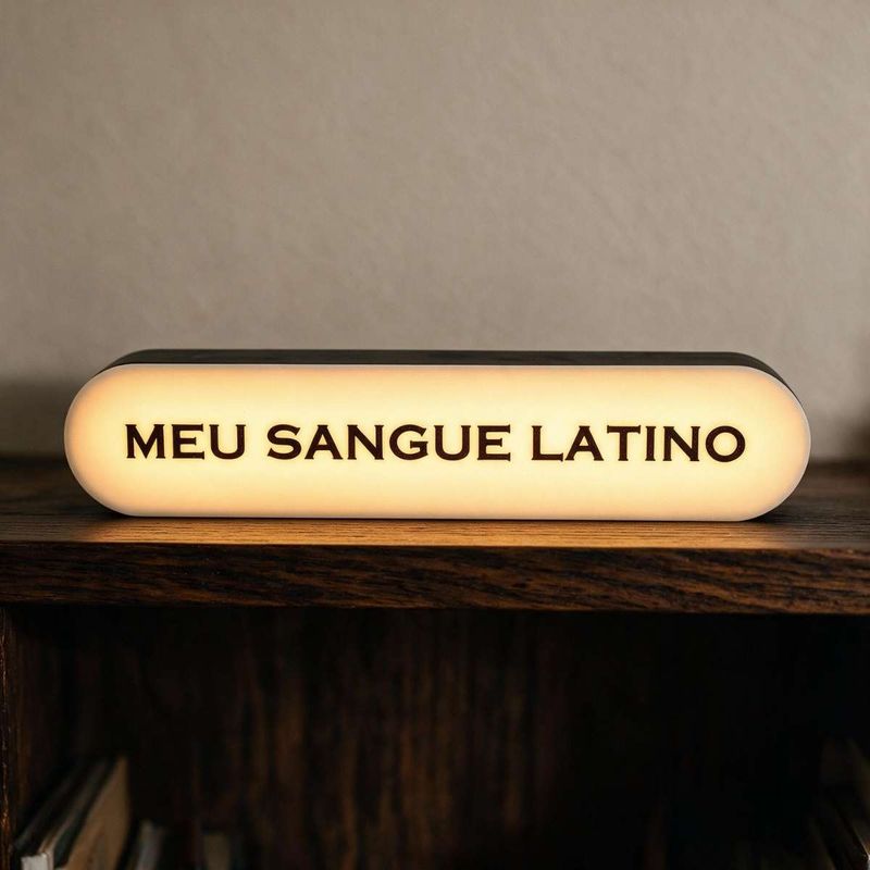 LUMINARIA_COLORIDA_MEU_SANGUE_LATINO_VA22778_PAPEL_CRAFT_2
