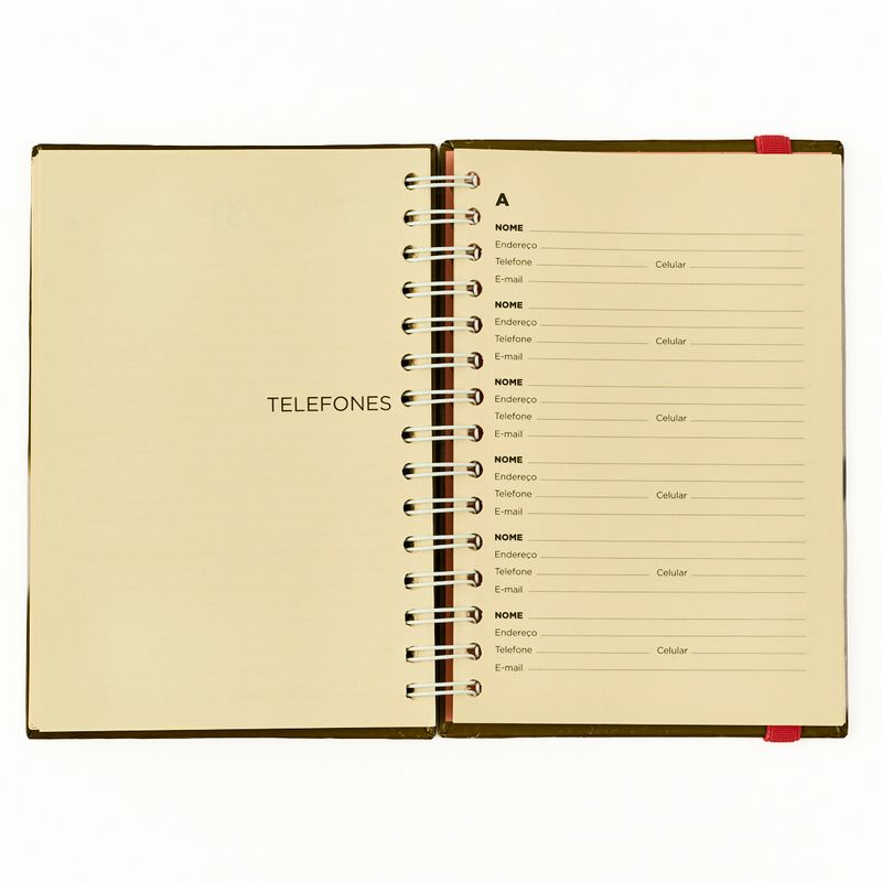 AGENDA_LUXO_GARRA_COLORES_2027_VERDE_AG1895_PAPEL_CRAFT_5-4