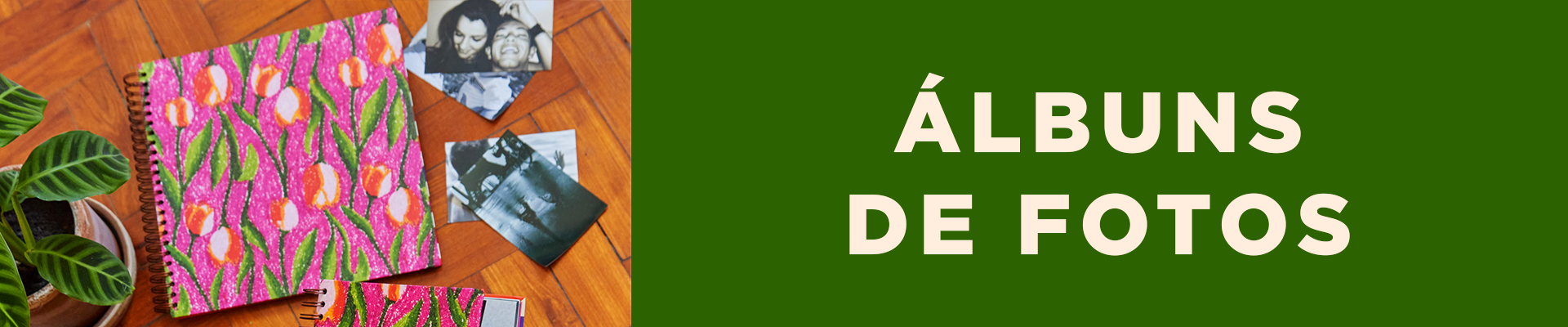 Banner: Álbum de Foto